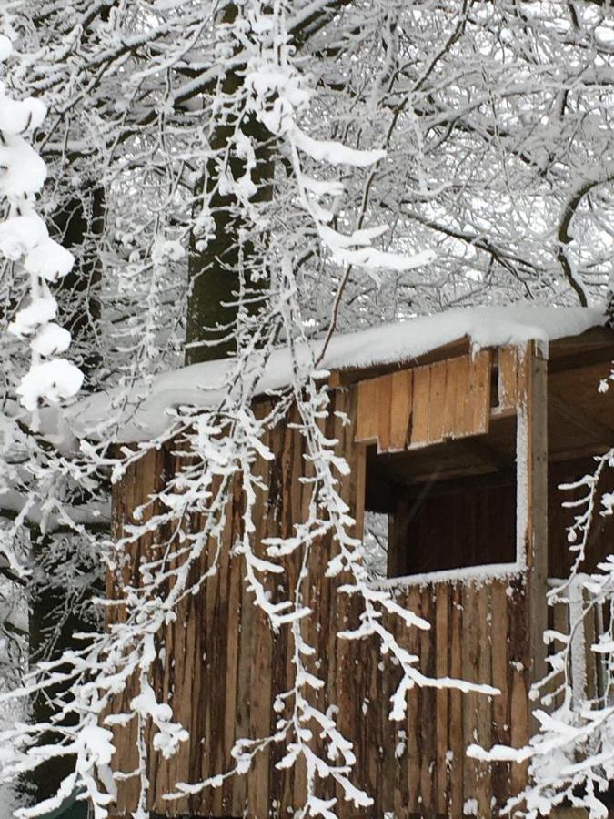 Ferienhaus Janne Monschau Exteriér fotografie